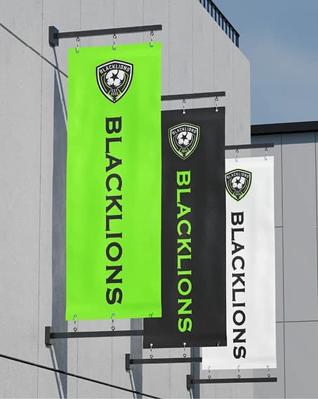 BLACKLIONS