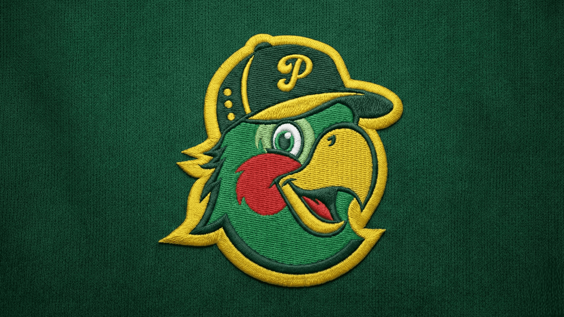 PERICOS DE PUEBLA hover